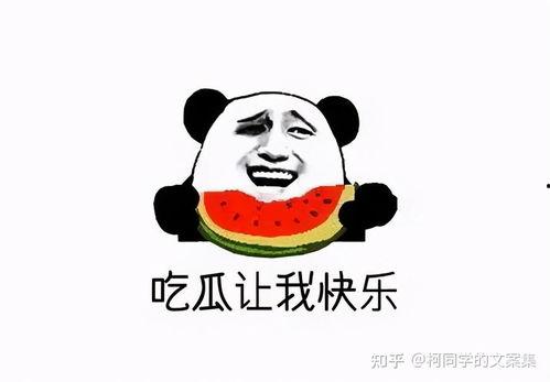 内幕爆料吃瓜,内幕爆料，吃瓜群众狂欢时刻