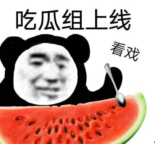 爆料吃瓜黑料,爆料黑料背后的真相与内幕
