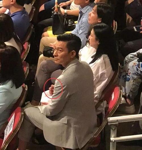 吃瓜爆料刘德华,娱乐圈的瓜田传奇，揭秘天王背后的故事