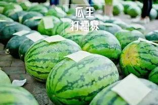 隆尧吧吃瓜爆料,揭秘背后真相