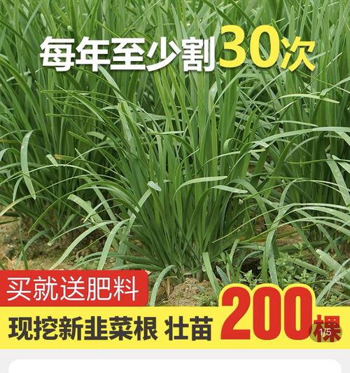 78吃瓜爆料,揭秘娱乐圈幕后真相
