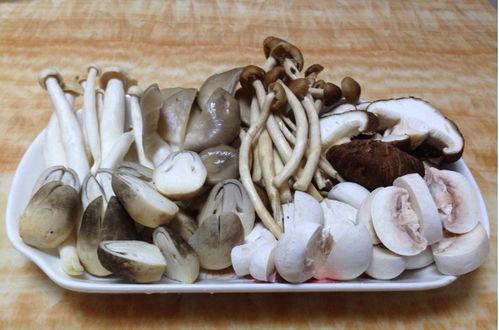 吃瓜爆料蘑菇,吃瓜爆料蘑菇带你探秘明星幕后故事