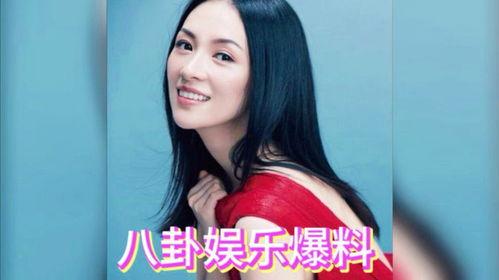 吃瓜协会爆料明星,明星背后的惊人真相大揭秘
