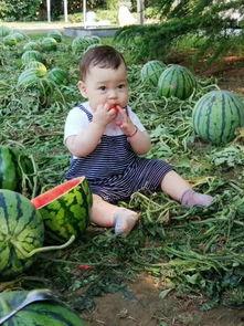 天津美院吃瓜爆料,揭秘校园风云背后的真相