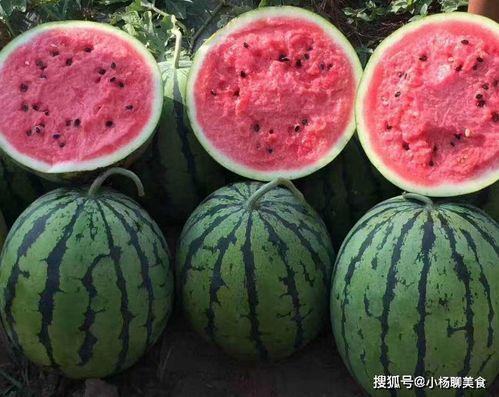 爆料吃瓜热门吃瓜不打烊,揭秘热门爆料背后的真相与笑料