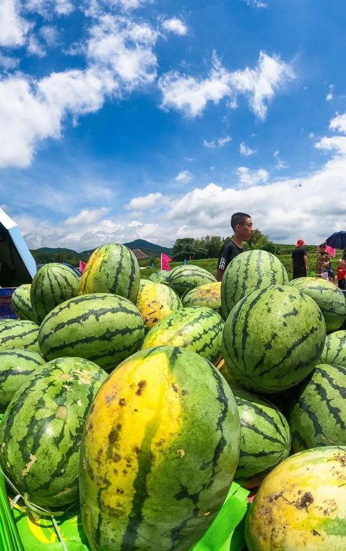梁山吃瓜爆料,揭秘梁山好汉背后的故事