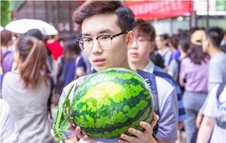 学生爆料吃瓜,学生爆料揭秘校园吃瓜事件