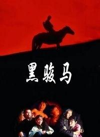 黑骏马电影,草原传奇，青春岁月的悲歌