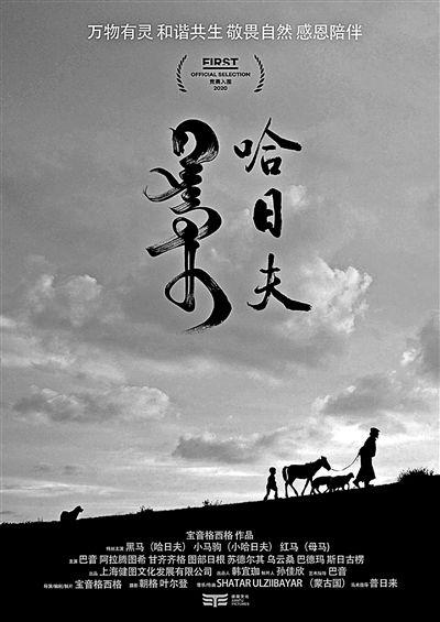 黑骏马电影,草原传奇，青春岁月的悲歌