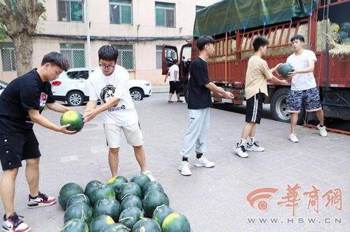 学校吃瓜爆料,揭秘校园吃瓜爆料背后的真相