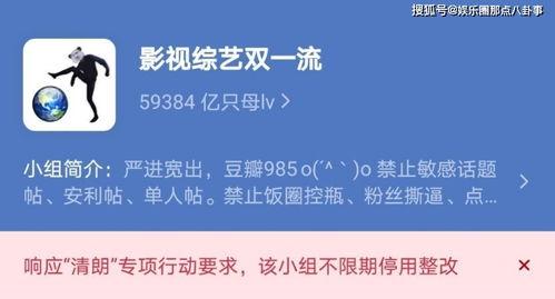 吃瓜爆料小组豆瓣,网络舆论场上的风云变幻