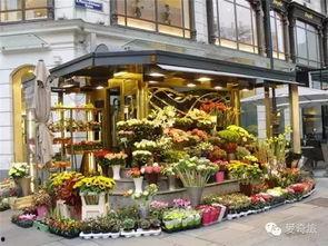 花店吃瓜爆料,揭秘花店界的幕后故事与惊人爆料