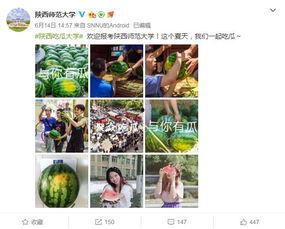 探探吃瓜大爆料,揭秘网络社交背后的惊人真相