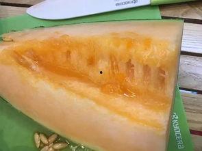 广西柳州吃瓜爆料,揭秘柳州街头美食风云录