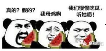 社会吃瓜爆料,揭秘明星幕后真相，吃瓜群众热议不断