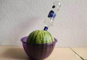 瓶子吃瓜爆料,瓶子吃瓜爆料，明星幕后故事大曝光