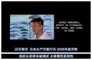 人与畜生电影,探寻人与畜生电影的深层内涵
