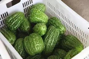 mnvvpm黑料吃瓜,吃瓜群众如何解读娱乐圈风云