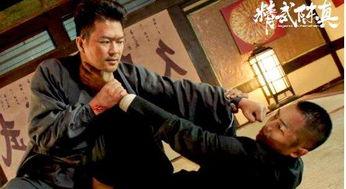 精武陈真电影,热血铸就民族魂