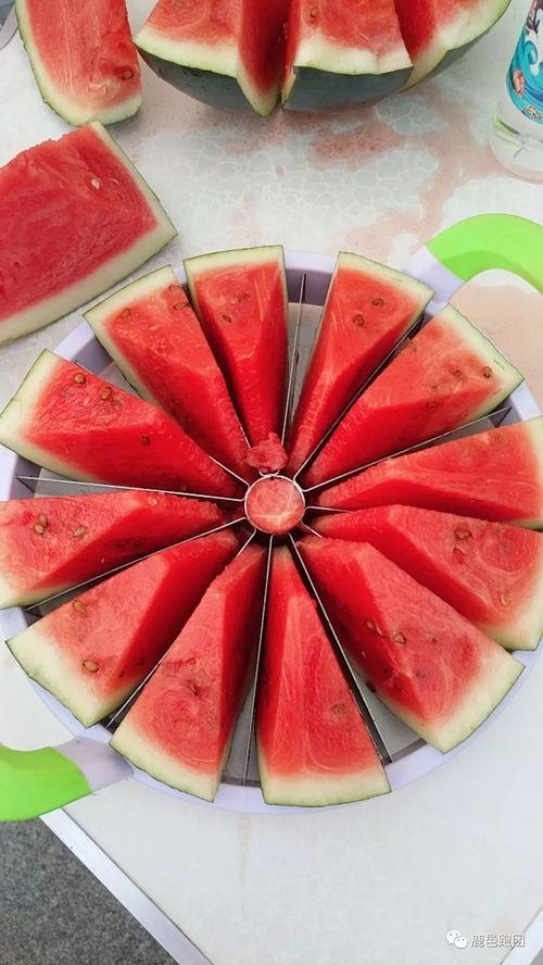 吃瓜爆料大赛,娱乐圈风云再起，明星隐私大揭秘！