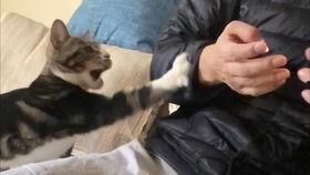 皮皮吃瓜爆料,娱乐圈最新猛料大揭秘