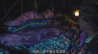 沙漠之花电影,勇敢绽放的坚韧生命