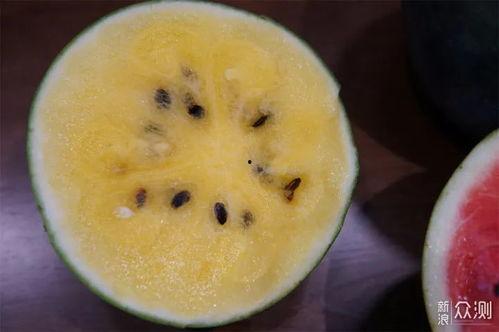 全网吃瓜黑料,揭秘吃瓜黑料的背后真相