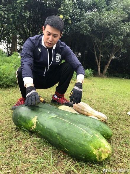 吃瓜爆料类,吃瓜爆料背后的真相与内幕