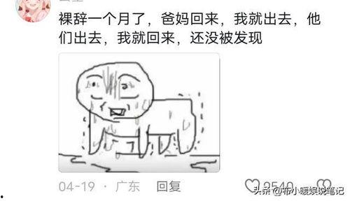 网友吃瓜爆料,娱乐圈惊天大瓜，真相令人震惊！