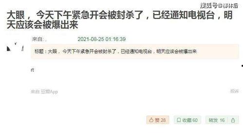 吃瓜网爆料网址,揭秘热门事件背后真相