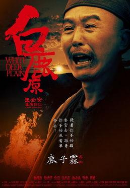 白鹿原电影在线,穿越历史长河的家族史诗