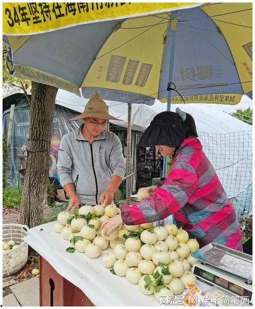 温州爆料吃瓜,吃瓜群众揭秘当地热点事件