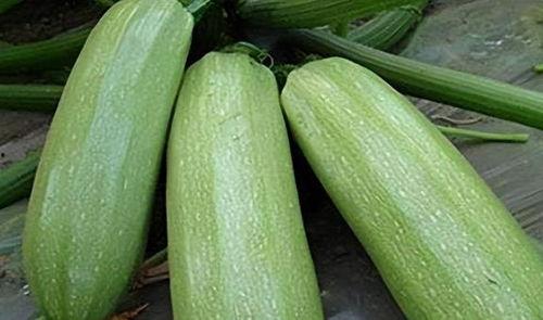 钛9吃瓜爆料,娱乐圈最新吃瓜爆料大起底