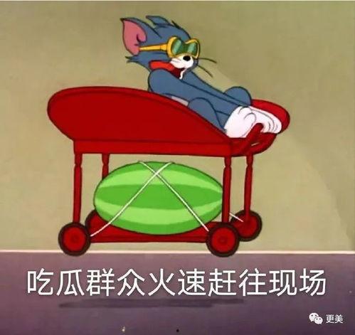 无脑吃瓜爆料,无脑吃瓜爆料，带你领略幕后真相