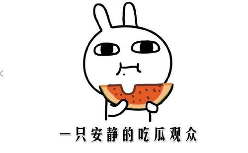 抖音吃瓜黑料,揭秘网红背后的真相