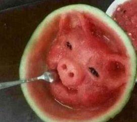 猪头吃瓜爆料,娱乐圈幕后真相大揭秘