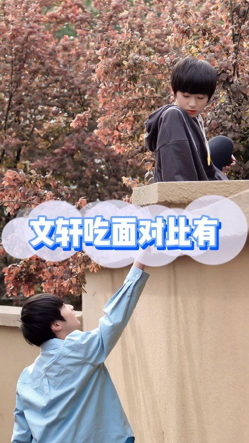 吃瓜爆料文轩,揭秘吃瓜爆料背后的真相