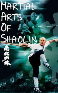 电影南北少林