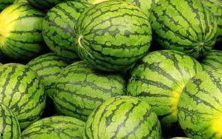 西瓜特效爆料吃瓜,吃瓜群众的狂欢盛宴