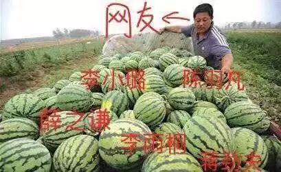 网友爆料吃瓜,娱乐圈惊天大瓜，真相令人震惊！