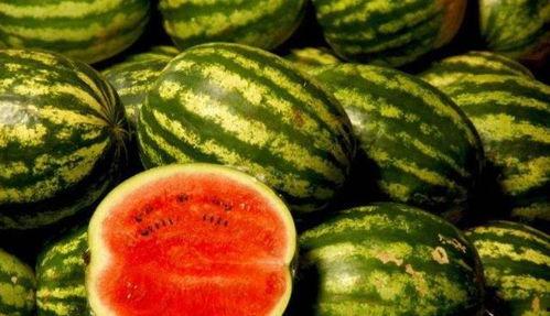 黑瓜爆料吃瓜,揭秘娱乐圈吃瓜背后的真相