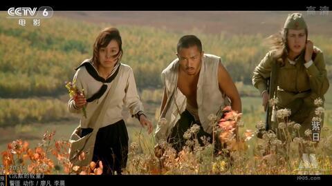 电影紫日,战火中的青春与爱情