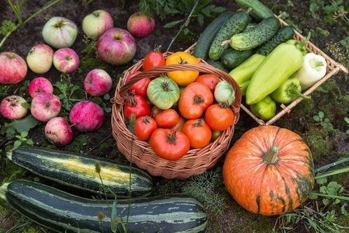 明吃瓜爆料,揭秘娱乐圈幕后真相