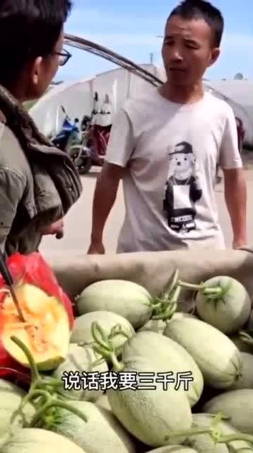 假装吃瓜爆料人,假装吃瓜，揭秘明星真实人生