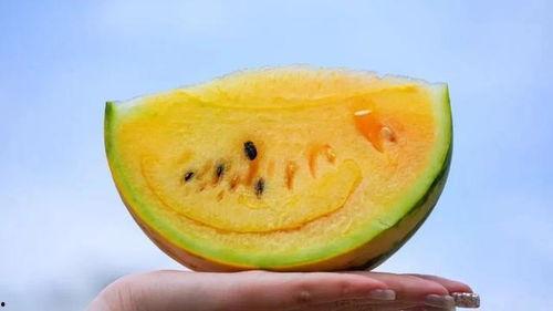 吃瓜爆料手受伤,吃瓜爆料手意外受伤，瓜友热议