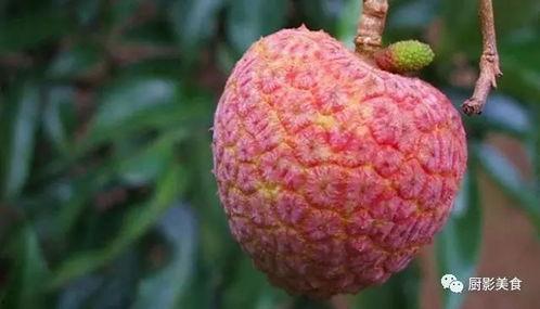 克拉吃瓜爆料,揭秘娱乐圈幕后真相，带你走进明星生活