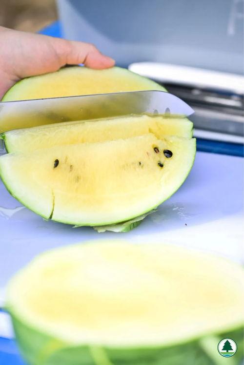 香港吃瓜爆料免费吃瓜,免费瓜等你来尝！