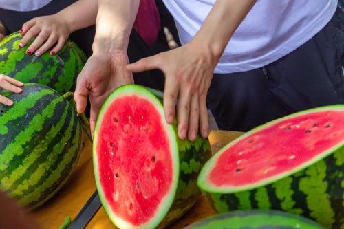 大学爆料吃瓜,大学爆料背后的真实吃瓜故事