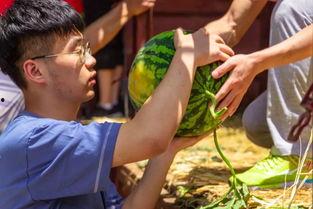 大学爆料吃瓜,大学爆料背后的真实吃瓜故事