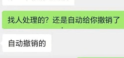 抖音黑料吃瓜群,网络舆论场中的暗流涌动